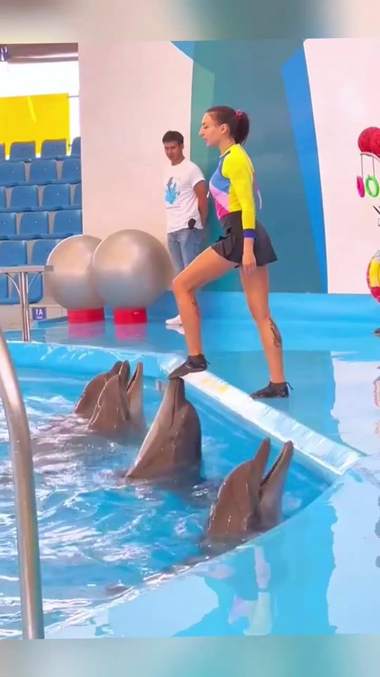 TikTok video thumbnail by dolphinshow.ch
