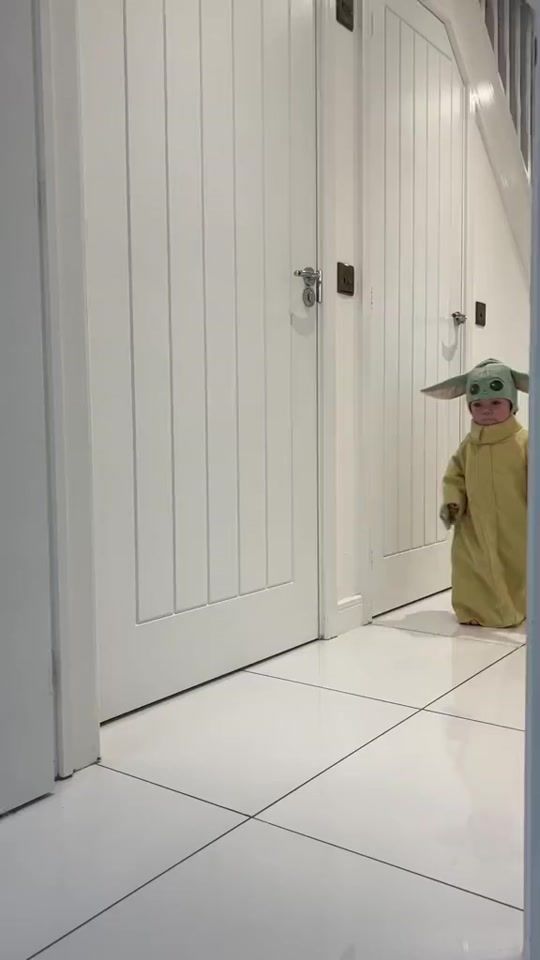 TikTok video thumbnail by meganhelengrayx