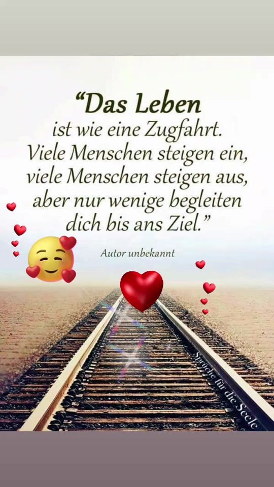 TikTok video thumbnail by silvanadangelo65