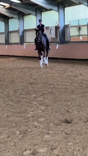 TikTok video thumbnail by helena.bembenek