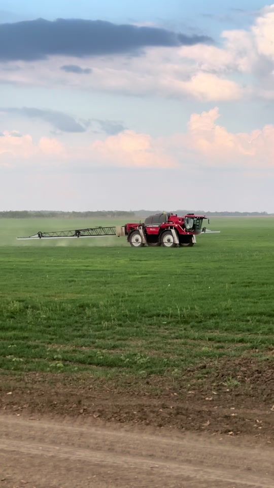 TikTok video thumbnail by barni_urfi