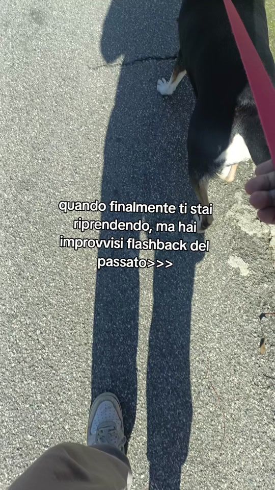 TikTok video thumbnail by fran_k049