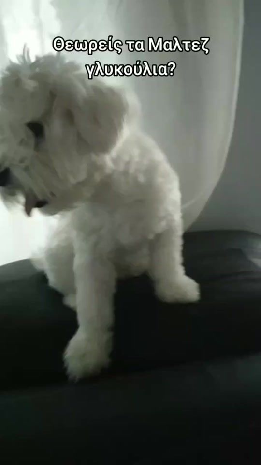 TikTok video thumbnail by gets_u