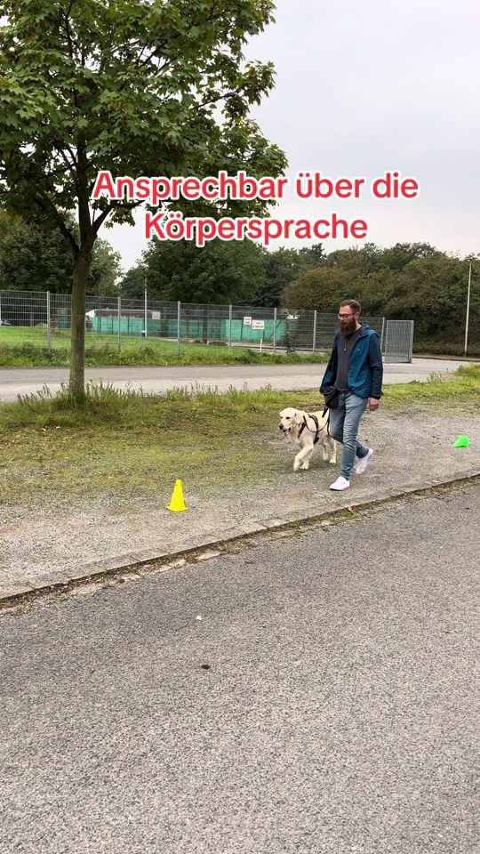 TikTok video thumbnail by bruce.marius