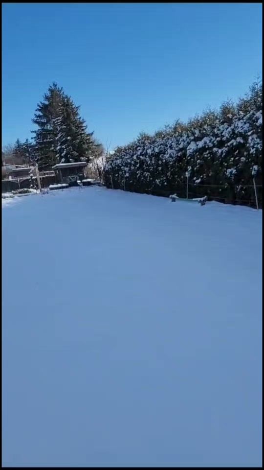 TikTok video thumbnail by ustad_vicky_mehar
