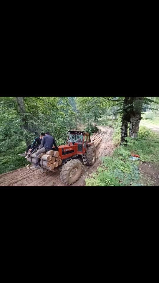 TikTok video thumbnail by pavel_bamboi145