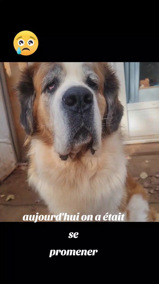 TikTok video thumbnail by christoooooof