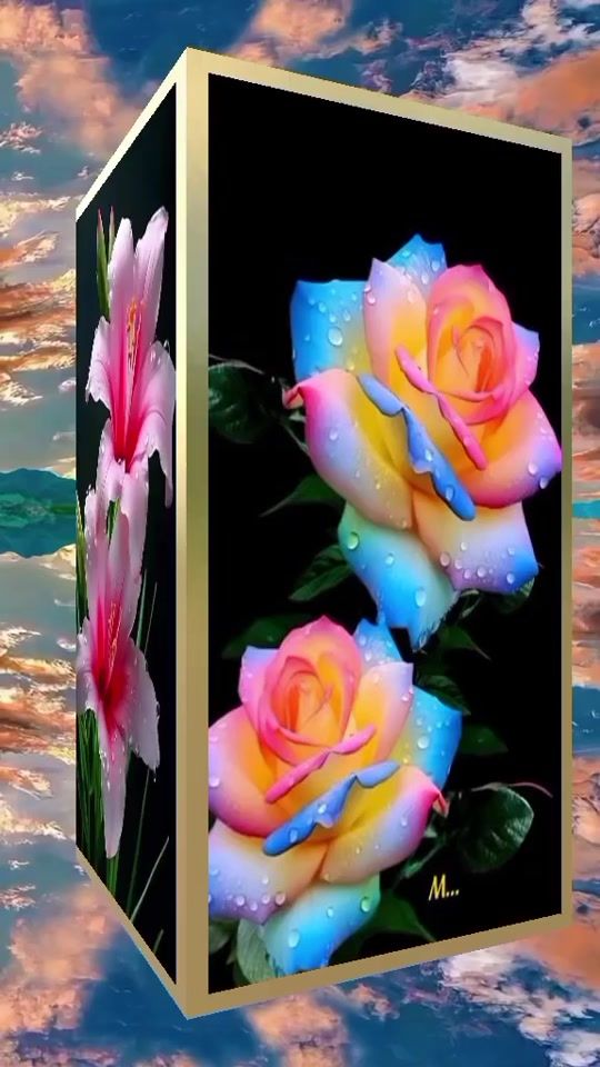 TikTok video thumbnail by evahorvat1966