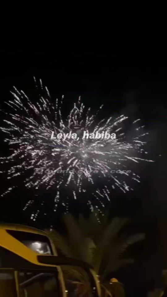 TikTok video thumbnail by _manfredonia_
