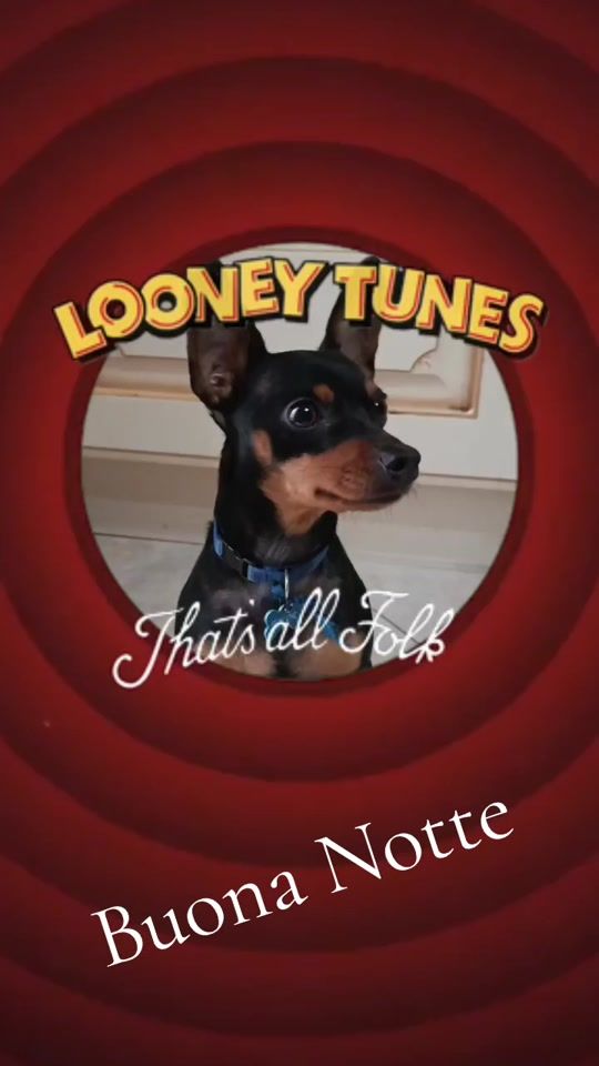 TikTok video thumbnail by thorminiboss