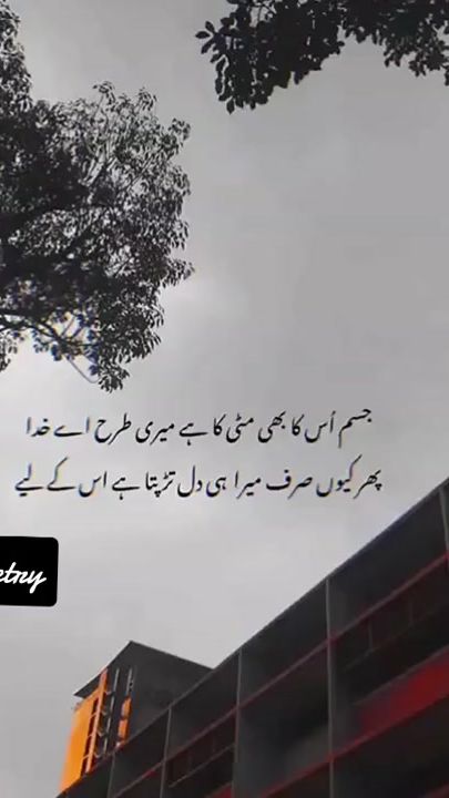 TikTok video thumbnail by poetry7869200