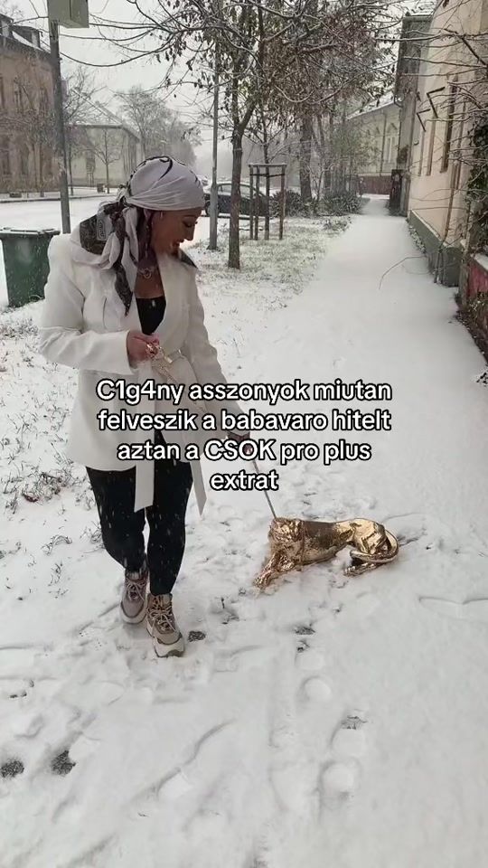 TikTok video thumbnail by hungarianflop