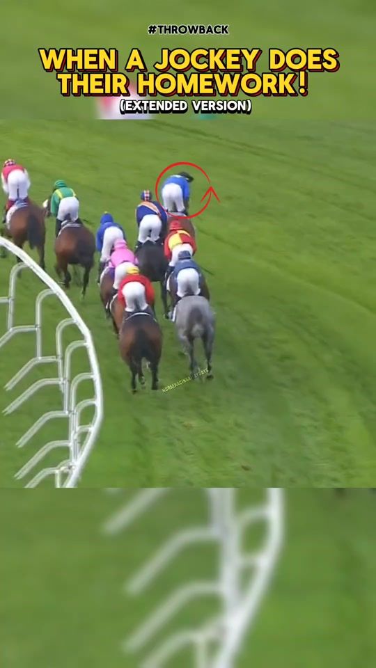 TikTok video thumbnail by horseracingawaydays
