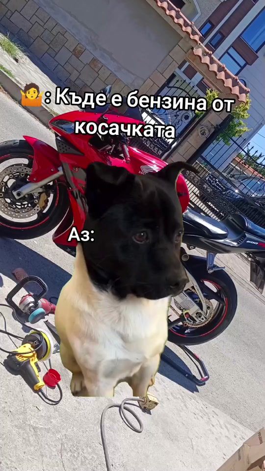 TikTok video thumbnail by tenchokostadinov29