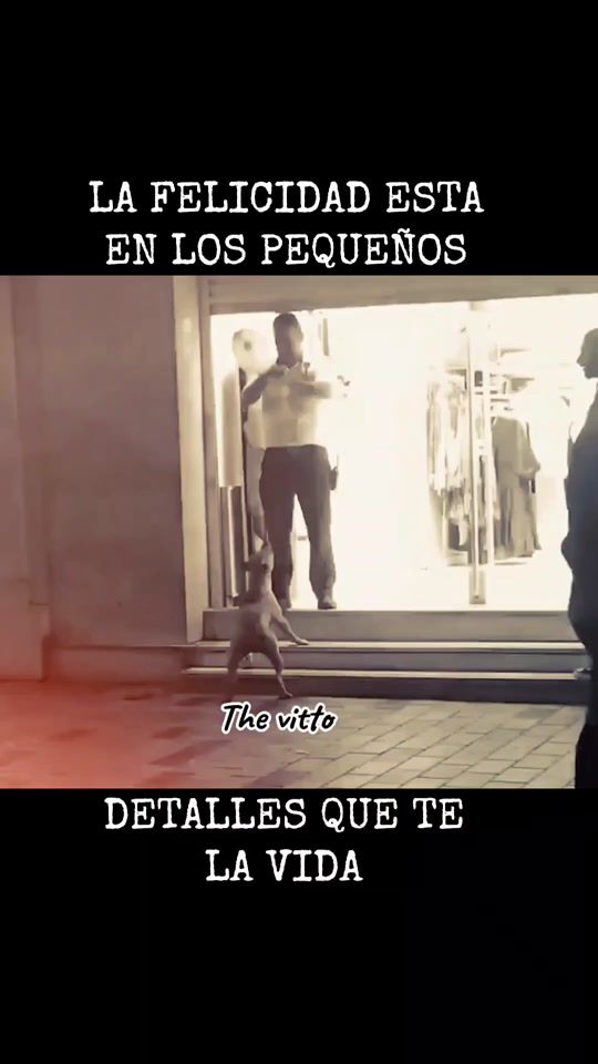 TikTok video thumbnail by thevitto22