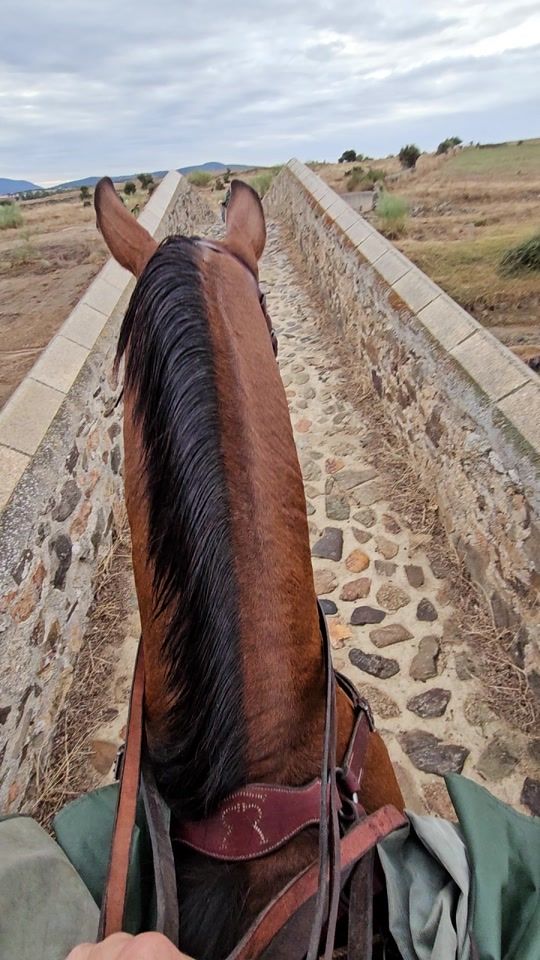 TikTok video thumbnail by eduardoduran2872