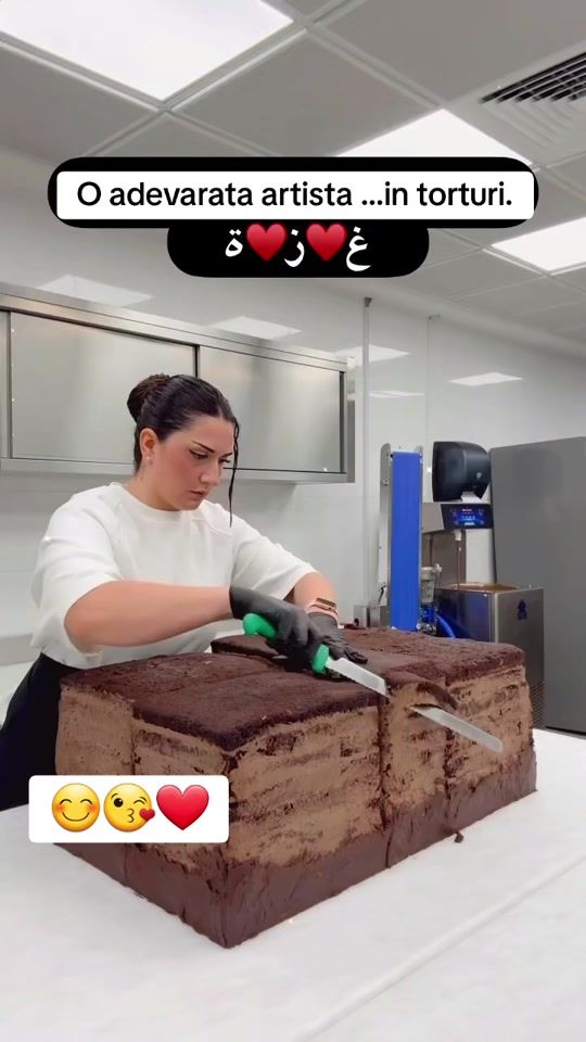 TikTok video thumbnail by melamihaela42