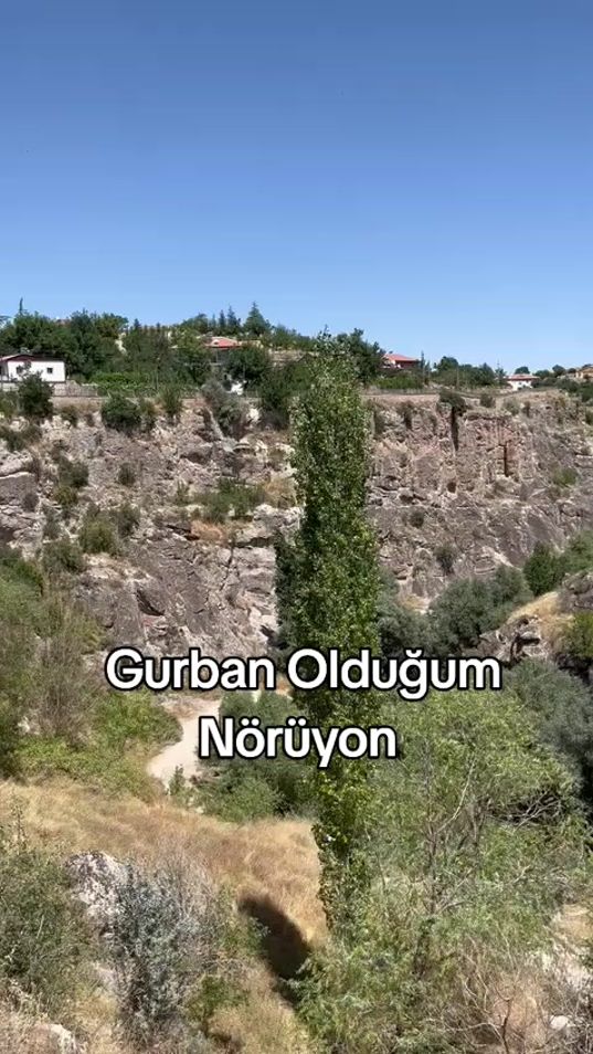 TikTok video thumbnail by gonyadan