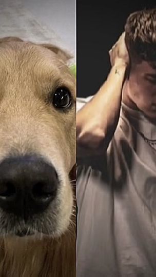 TikTok video thumbnail by misi211555