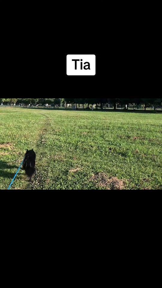 TikTok video thumbnail by disizasport