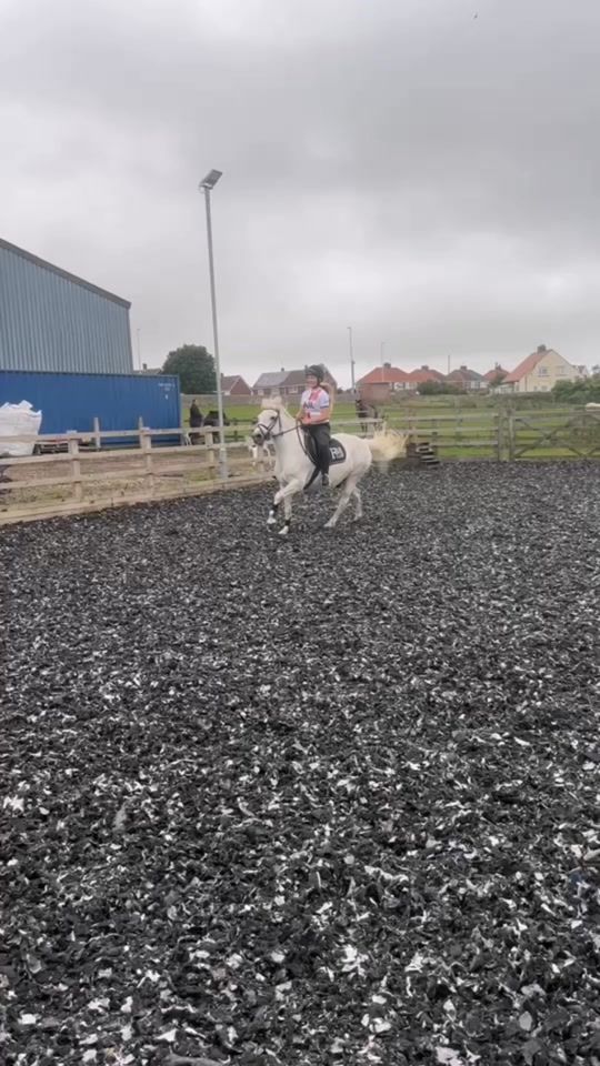 TikTok video thumbnail by phoebe.ryan2