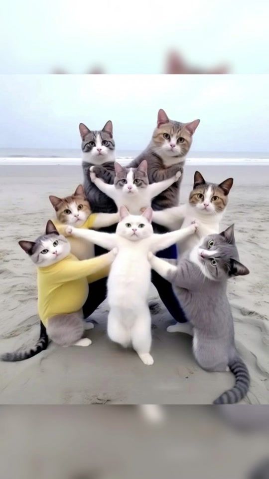 TikTok video thumbnail by joe_rain0
