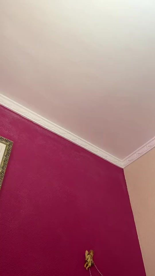 TikTok video thumbnail by blanqui_the_cat