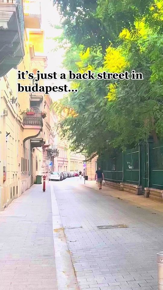 TikTok video thumbnail by agentblackwid0w