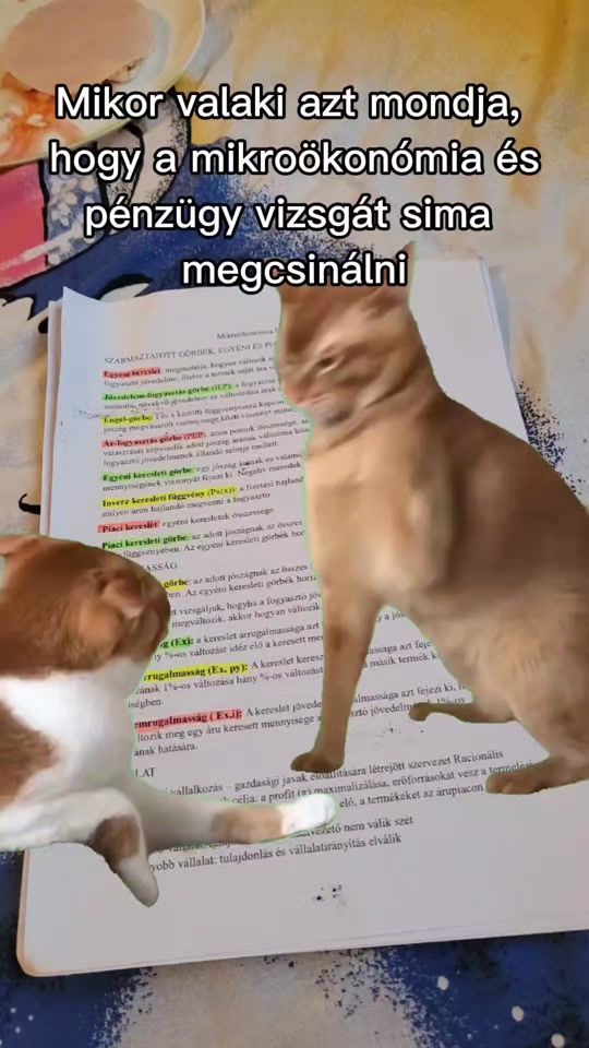 TikTok video thumbnail by dorottyanagy25