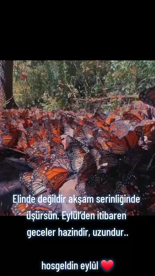 TikTok video thumbnail by dila_hanim__
