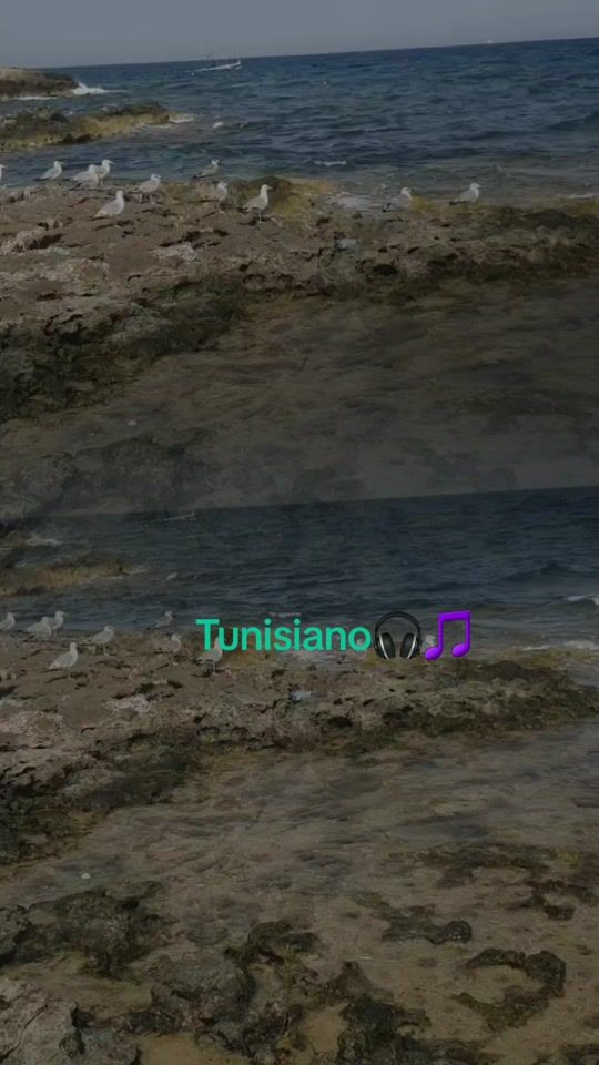 TikTok video thumbnail by tunisiano227