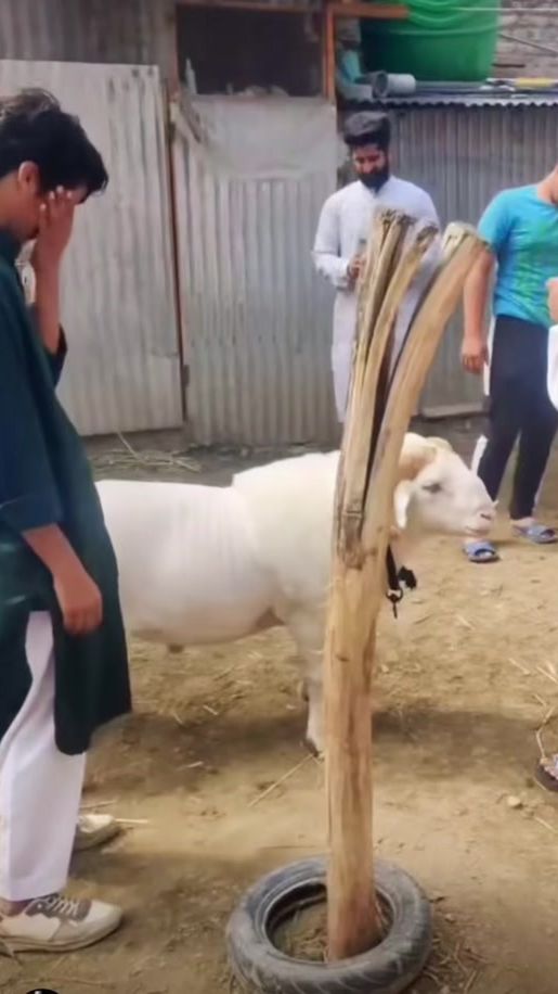 TikTok video thumbnail by islamic.089