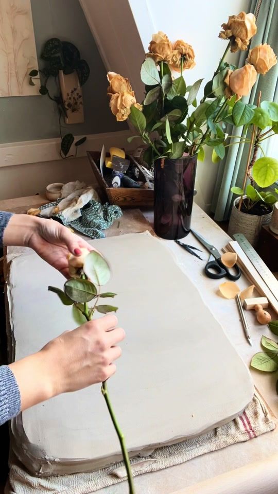 TikTok video thumbnail by simplybotanical