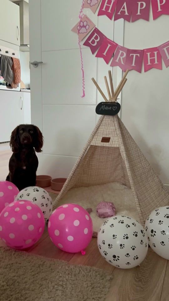 TikTok video thumbnail by vickyfox2