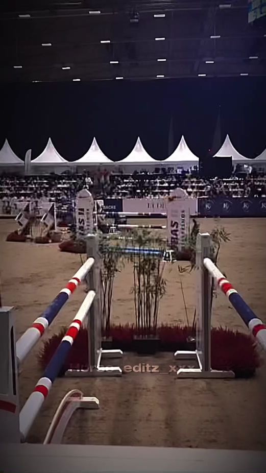 TikTok video thumbnail by horse_editz_xxx