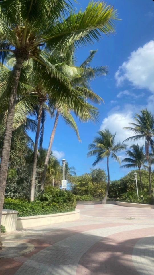 TikTok video thumbnail by love_songs020