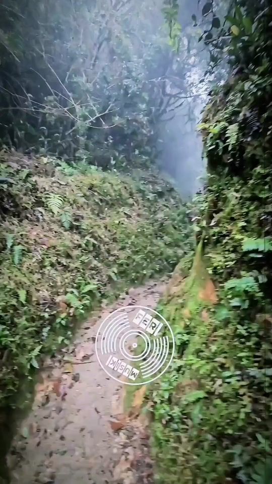 TikTok video thumbnail by tulindaxd1