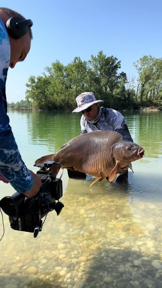 TikTok video thumbnail by domegabor_official