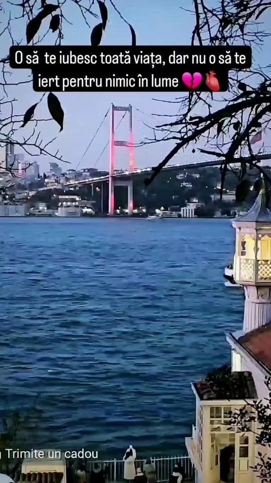 TikTok video thumbnail by melodiiidedragoste
