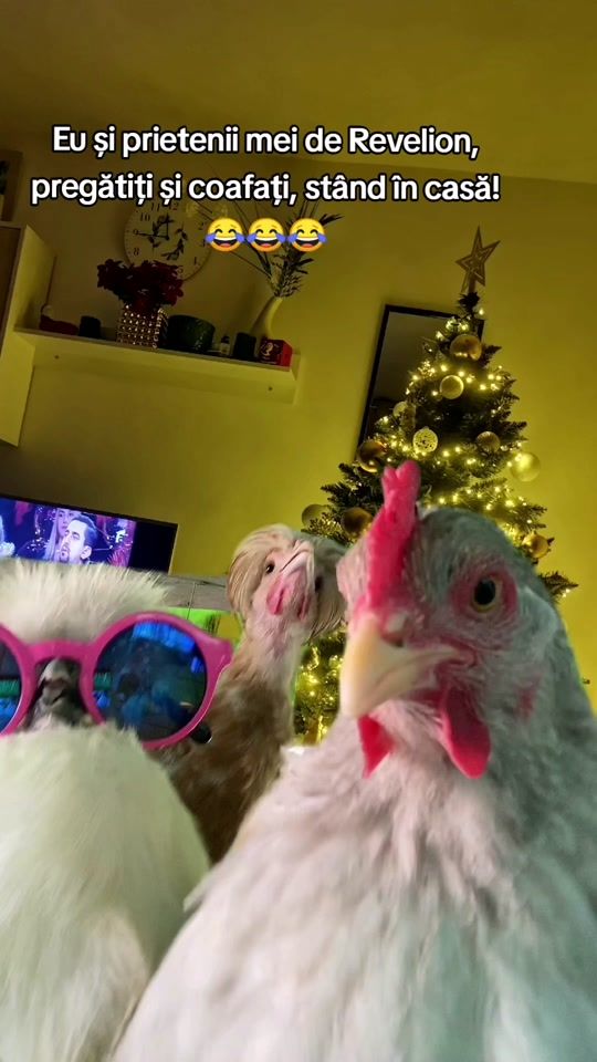 TikTok video thumbnail by irinac427