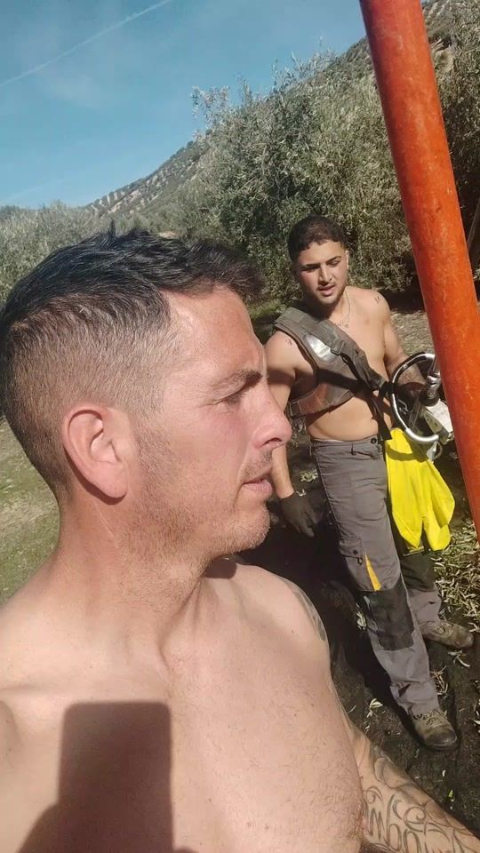 TikTok video thumbnail by linceiberico...39
