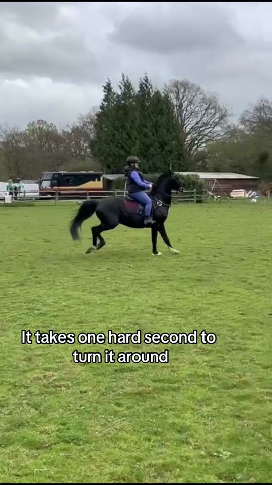 TikTok video thumbnail by eloisewalsh.equestrian