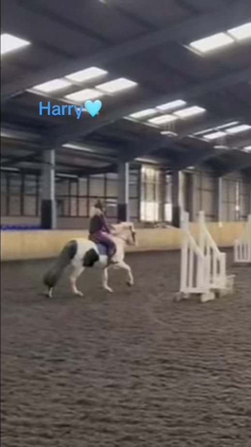 TikTok video thumbnail by ur.local_equestrain