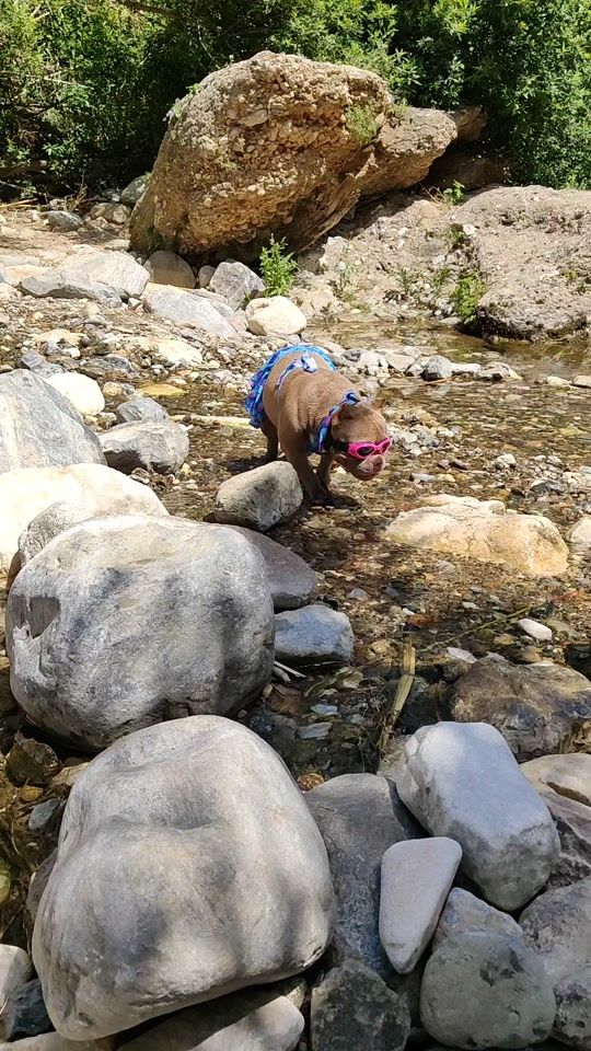 TikTok video thumbnail by katygm.bully