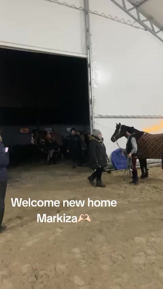 TikTok video thumbnail by nz_showjumping