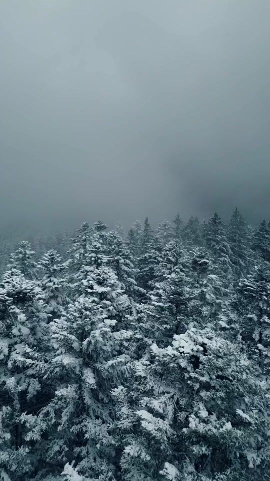 TikTok video thumbnail by serban_28
