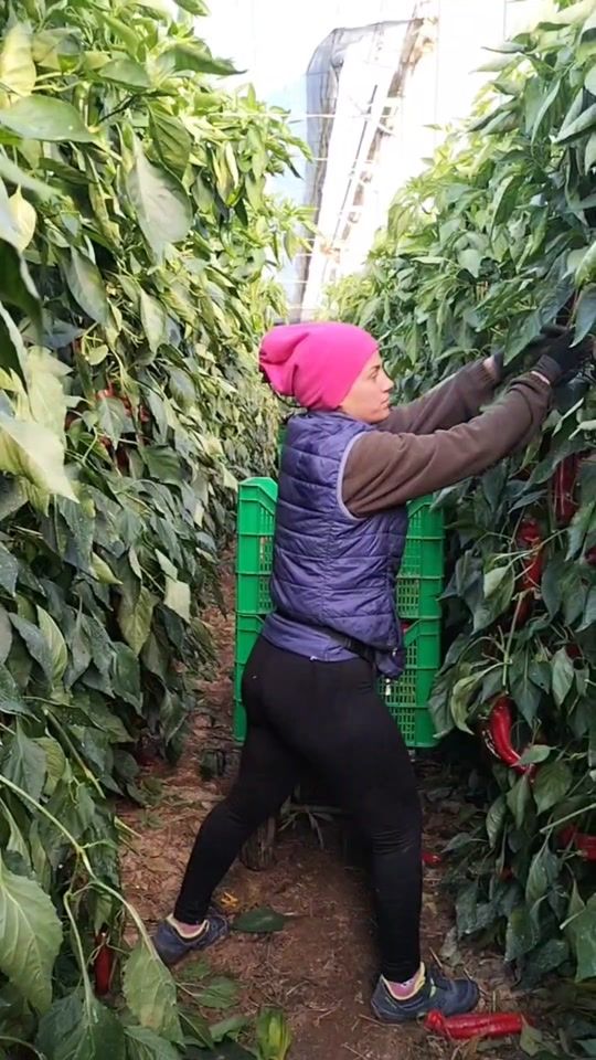 TikTok video thumbnail by ionelaboicu5