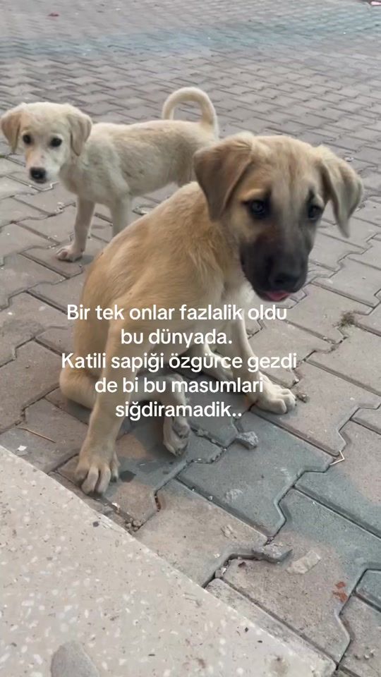 TikTok video thumbnail by 1uqb_a