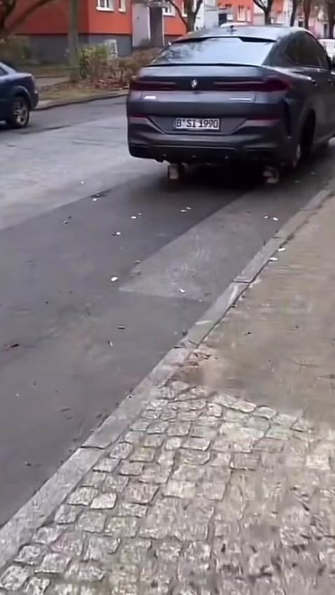 TikTok video thumbnail by bachevborislav