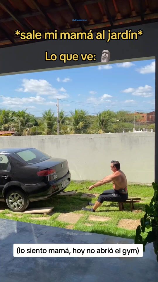 TikTok video thumbnail by alimentameme